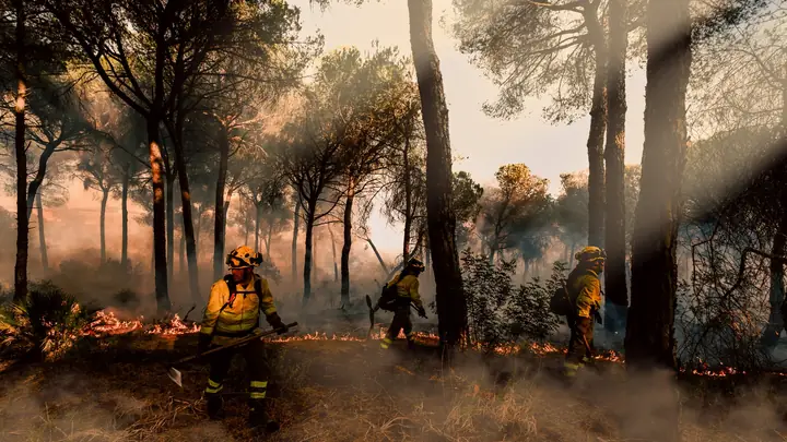 Tres bomberos forestales con herramientas en un pinar con fuego a ras de suelo